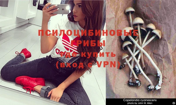 стафф Майский