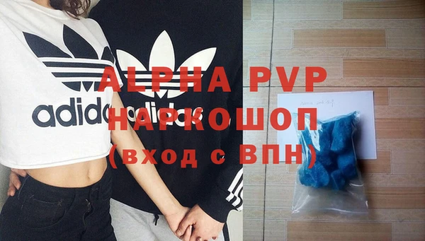 стафф Майский