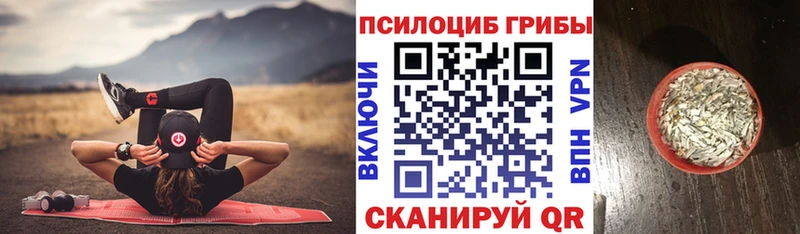 дарнет шоп  Яранск  Псилоцибиновые грибы Cubensis 