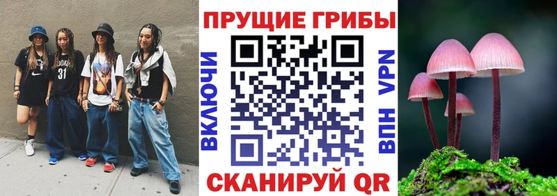 Галлюциногенные грибы Psilocybe Яранск